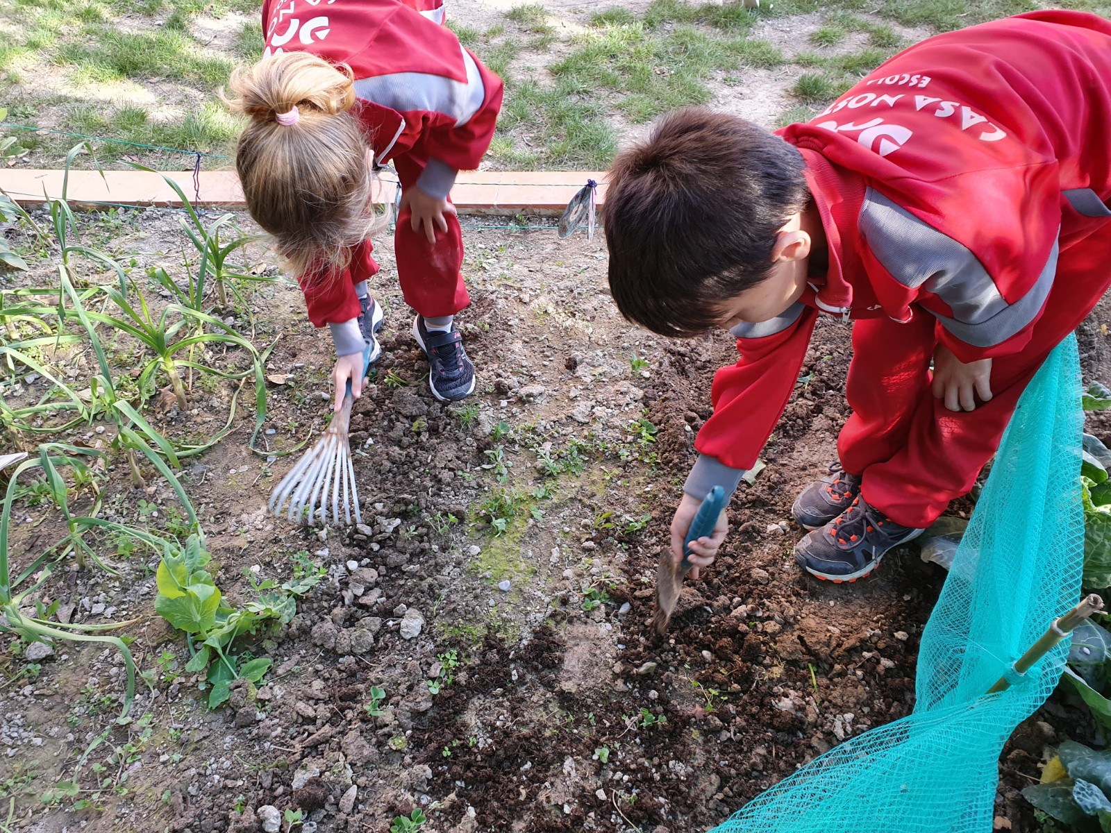 hort escola casa nostra